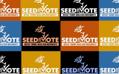 Seed the Vote: Don’t Just Vote, Organize!