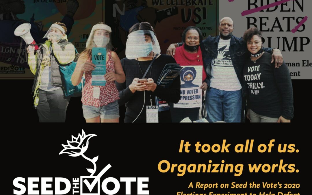 Seed the Vote’s 2020 Annual Report