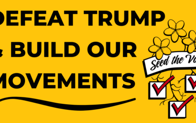 Seed the Vote: Political Assessment
