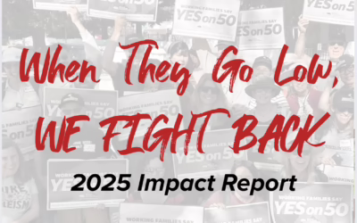 Seed the Vote 2025 Impact Report